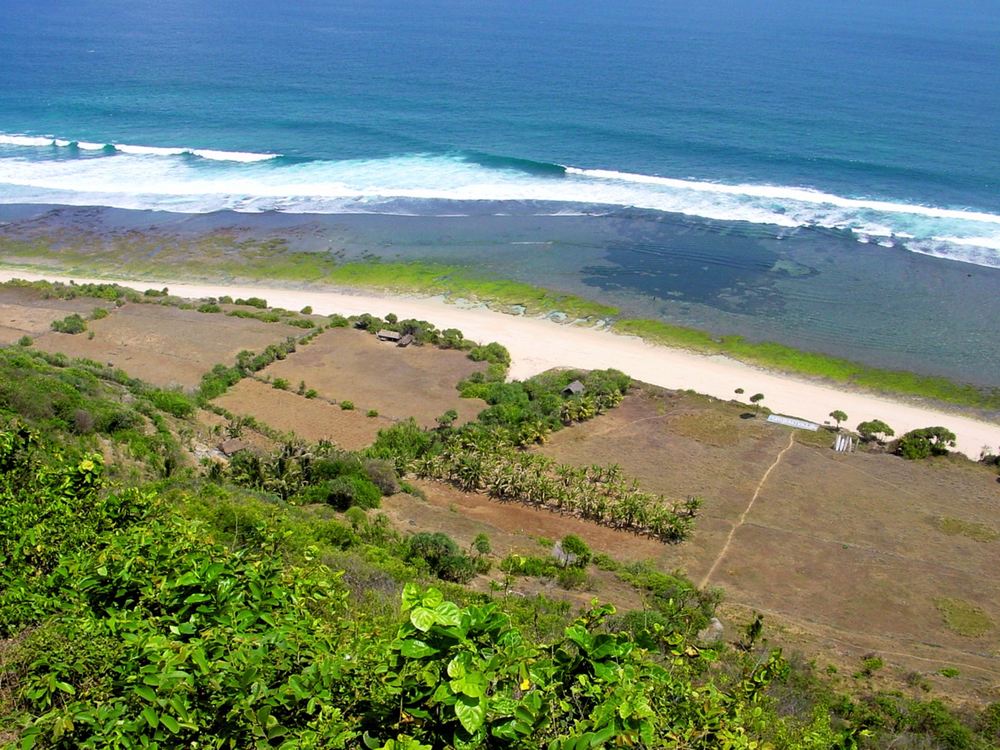 Bali — photo 33
