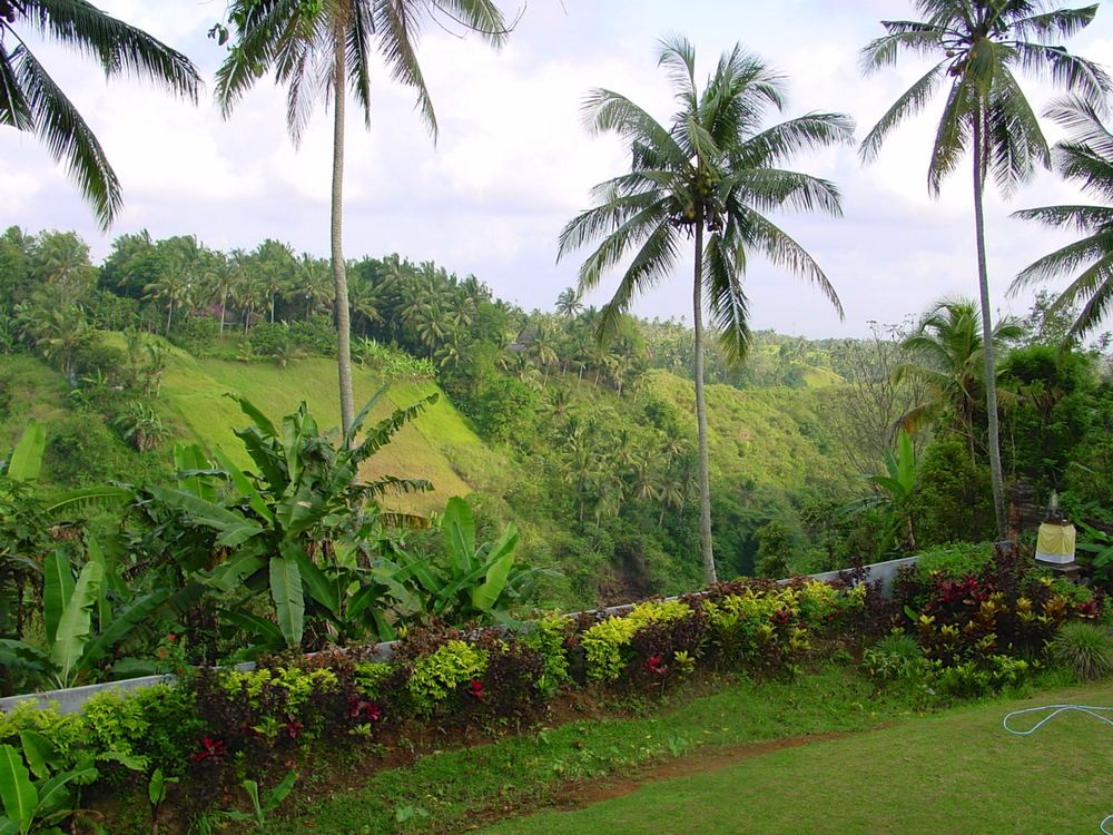 Bali — photo 39