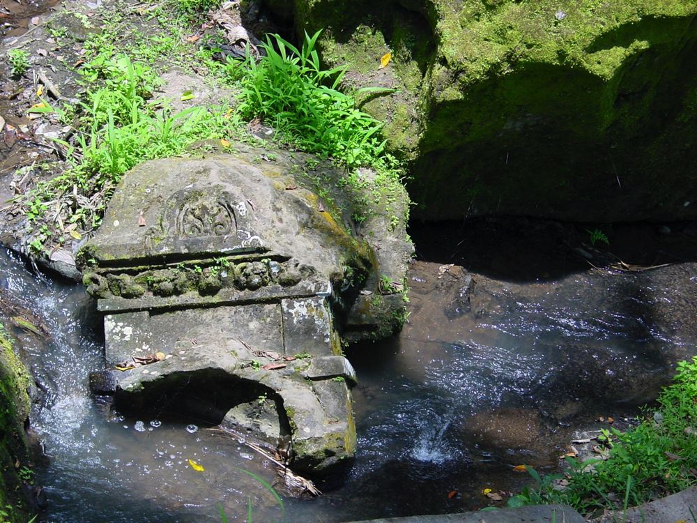 Bali — photo 41