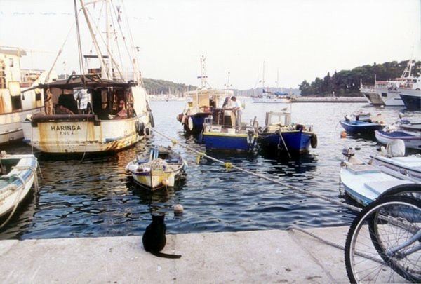 Sightseeing Croatia — photo 17