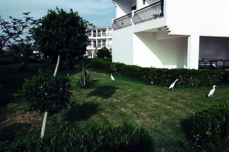 Safaga — photo 13