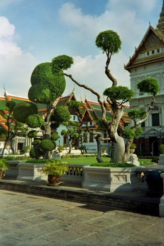 Bangkok & Koh Samui — photo 21