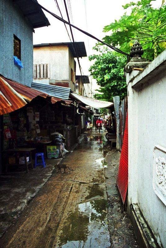Bangkok & Koh Samui — photo 24