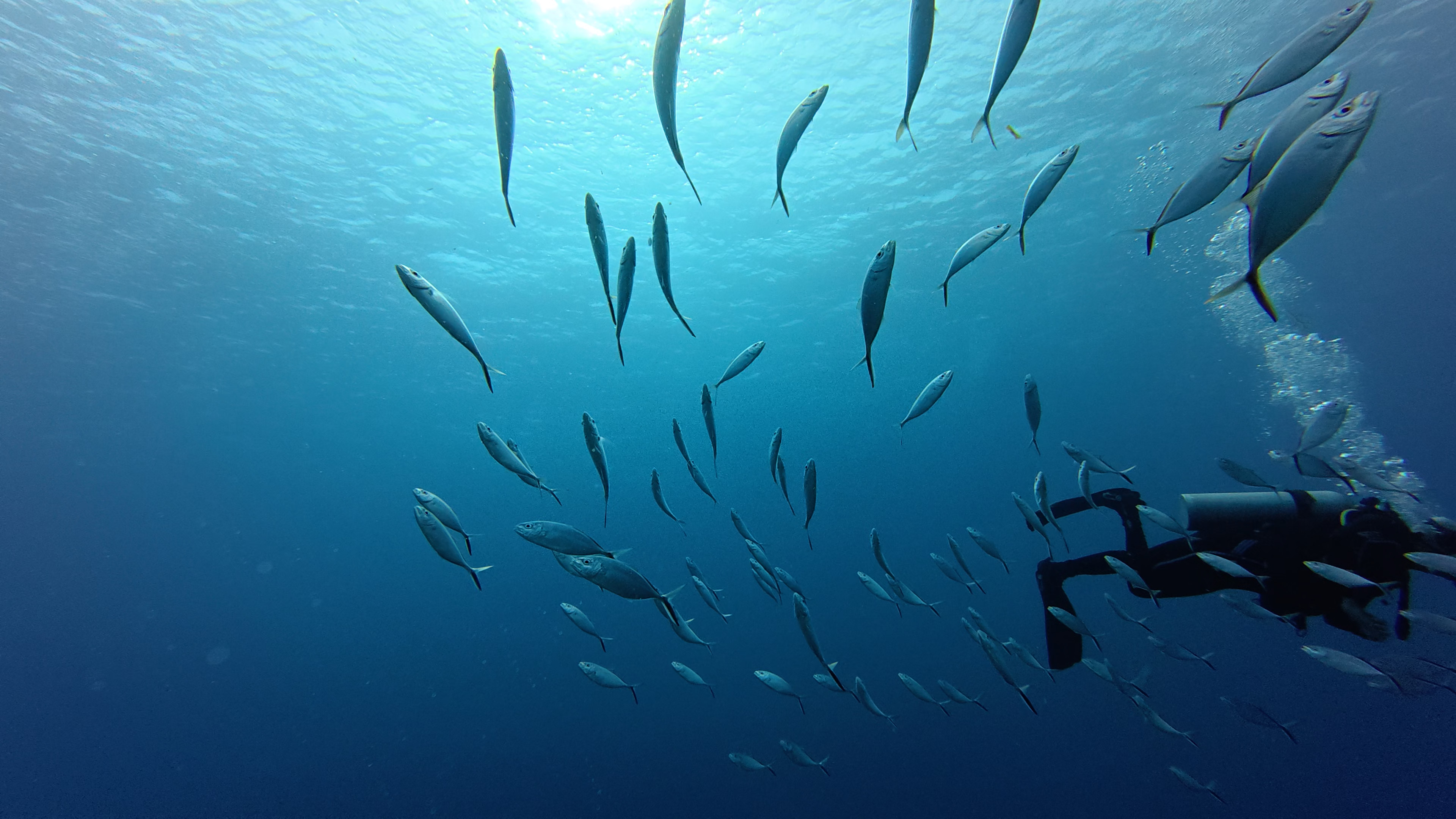 dji_mimo_20250922_153732_20250922153732_1758583693143_video.mp4