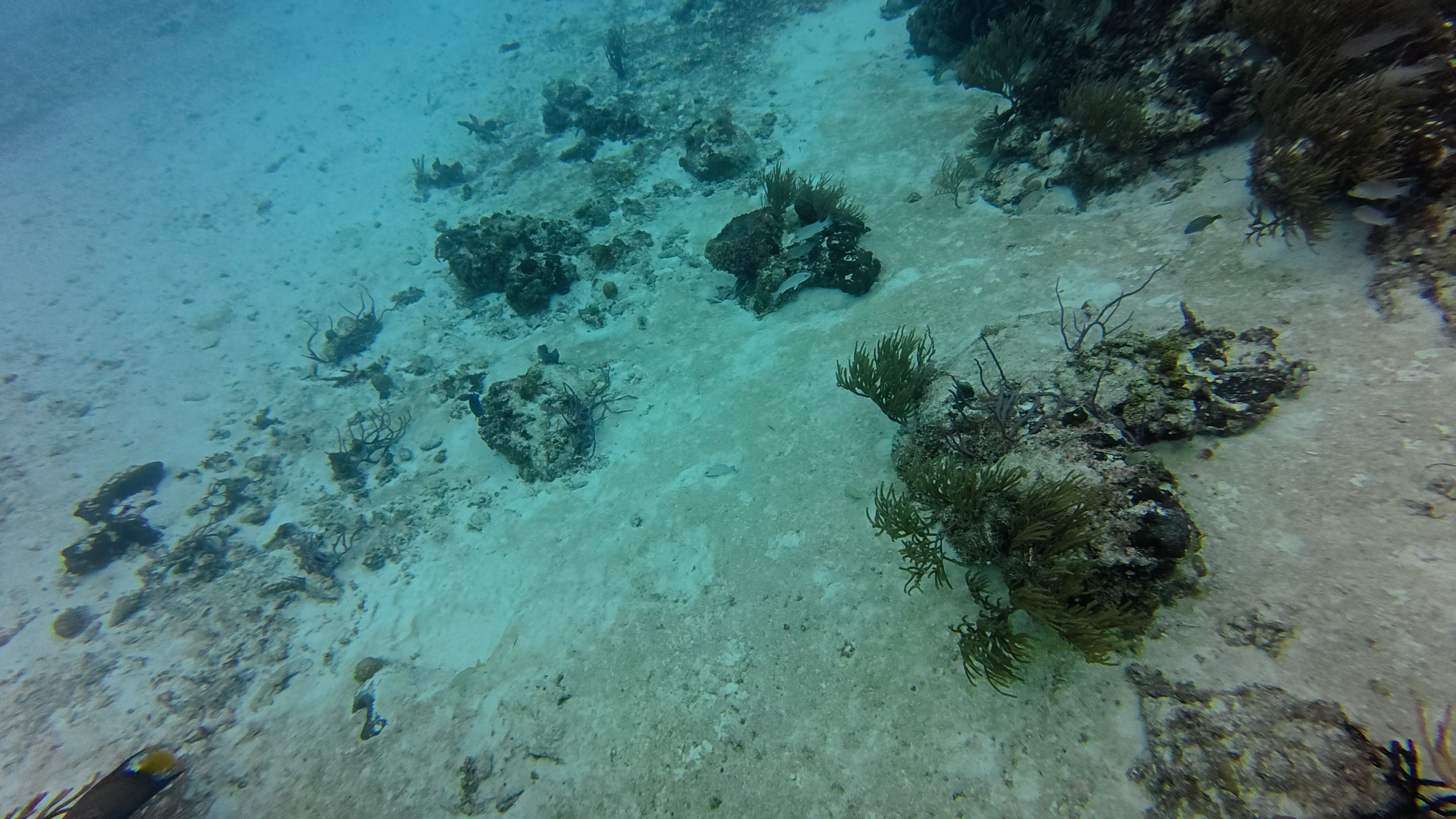 dji_mimo_20250922_160228_20250922160228_1758583560997_video.mp4