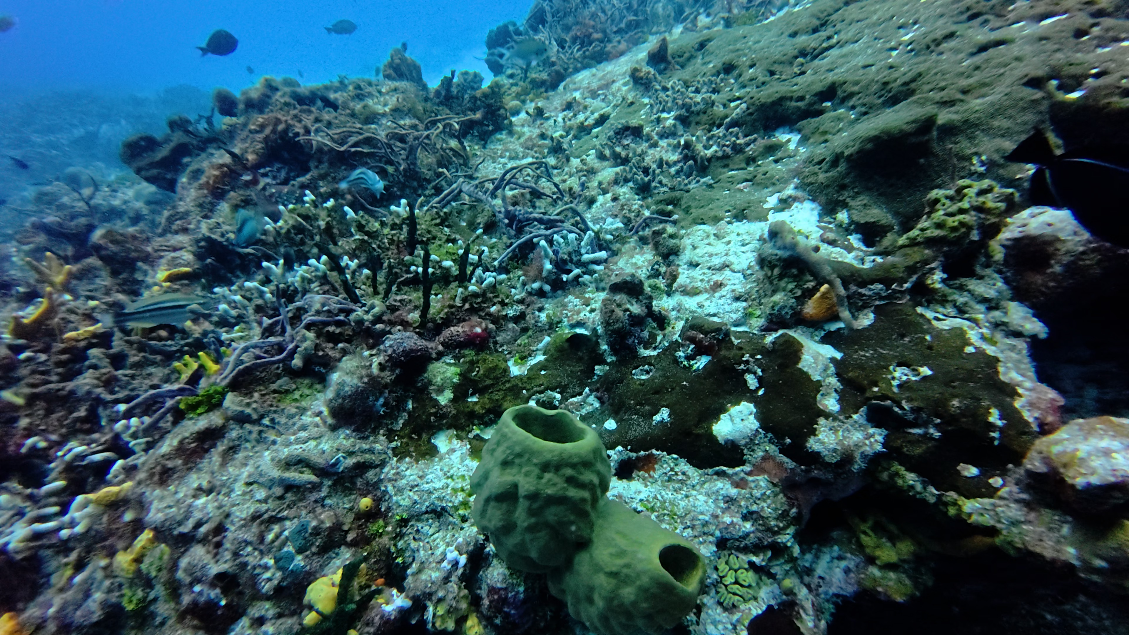 dji_mimo_20250923_093044_20250923093044_1758652499441_video.mp4