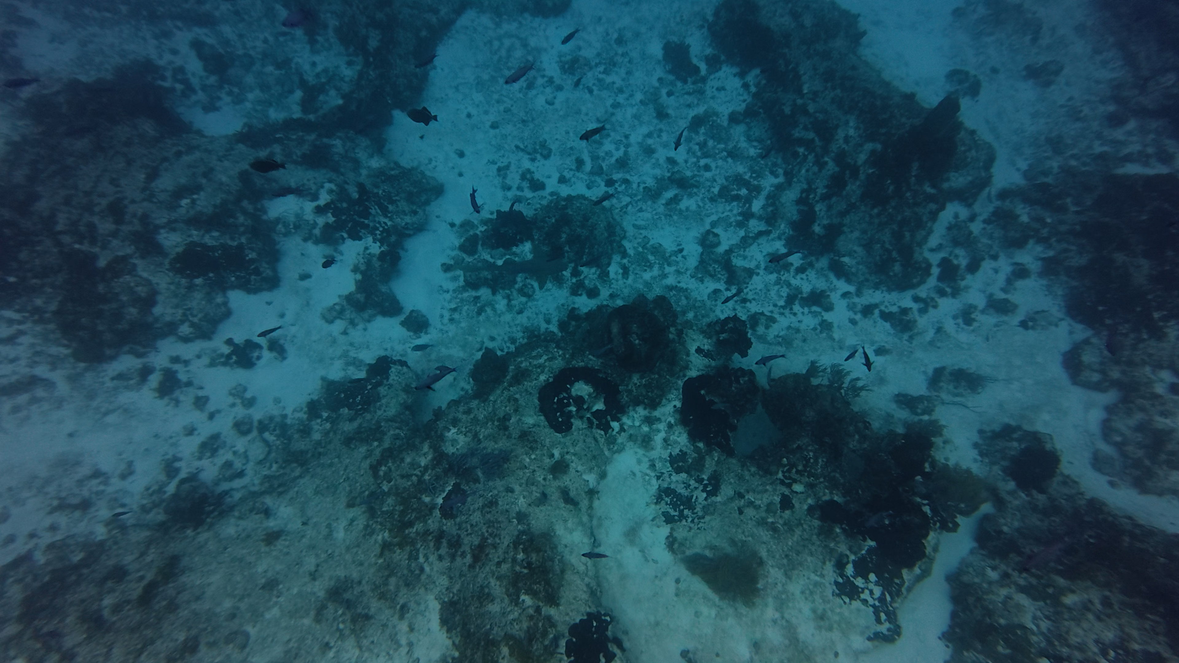 dji_mimo_20250923_103034_20250923103034_1758652478561_video.mp4