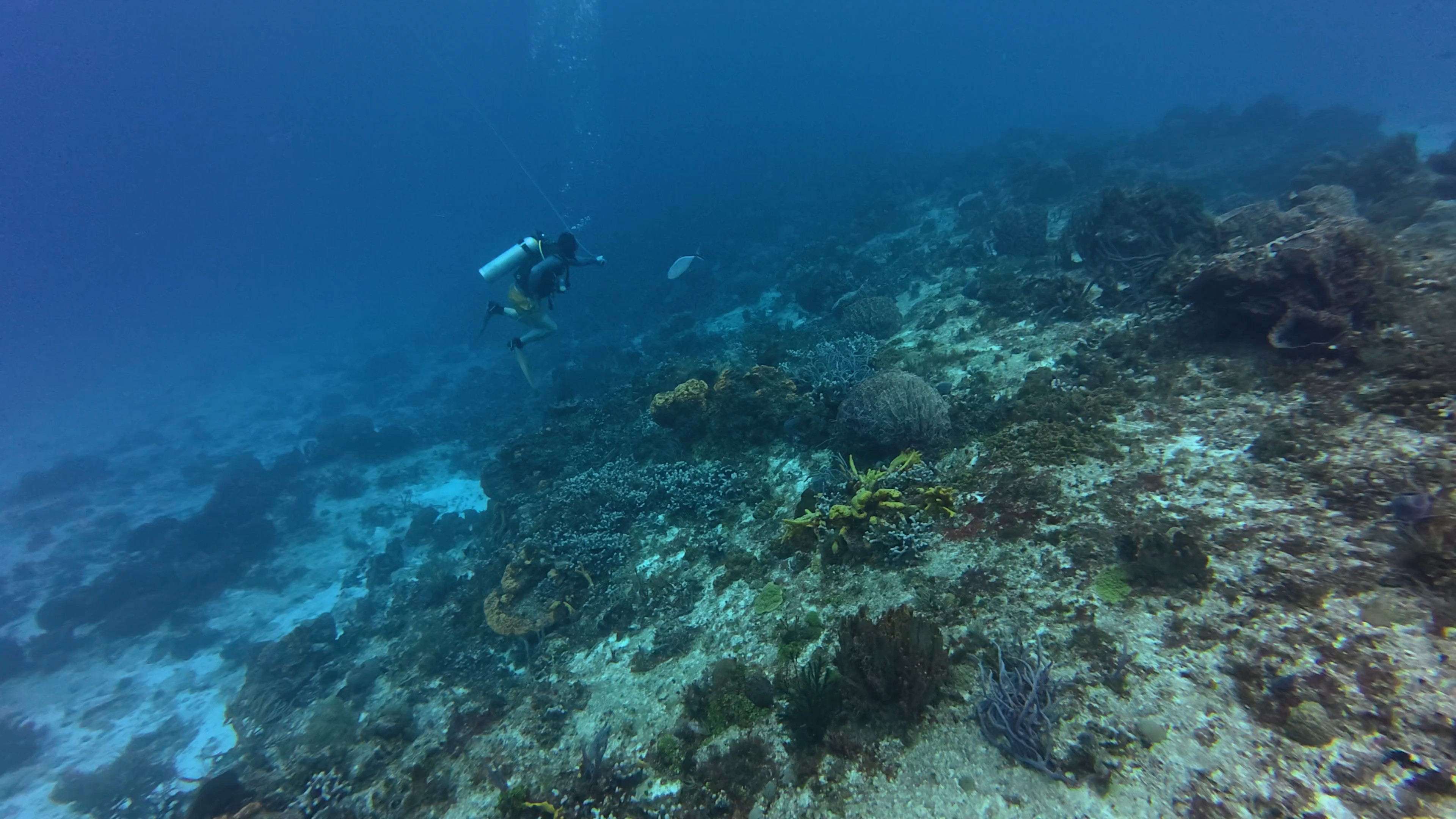 1 - 1758584088116.mp4