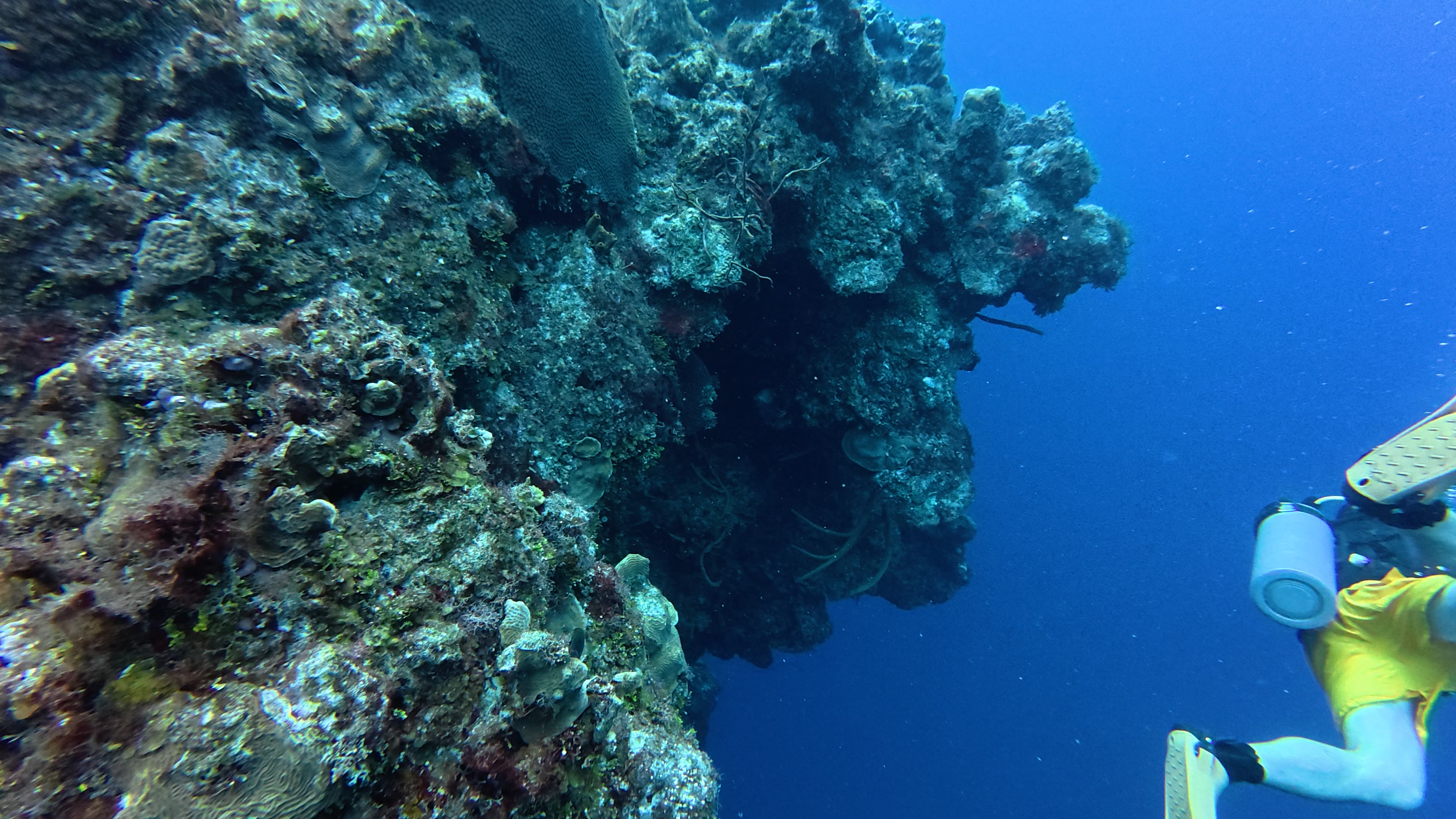 3 - 1758583644430.mp4