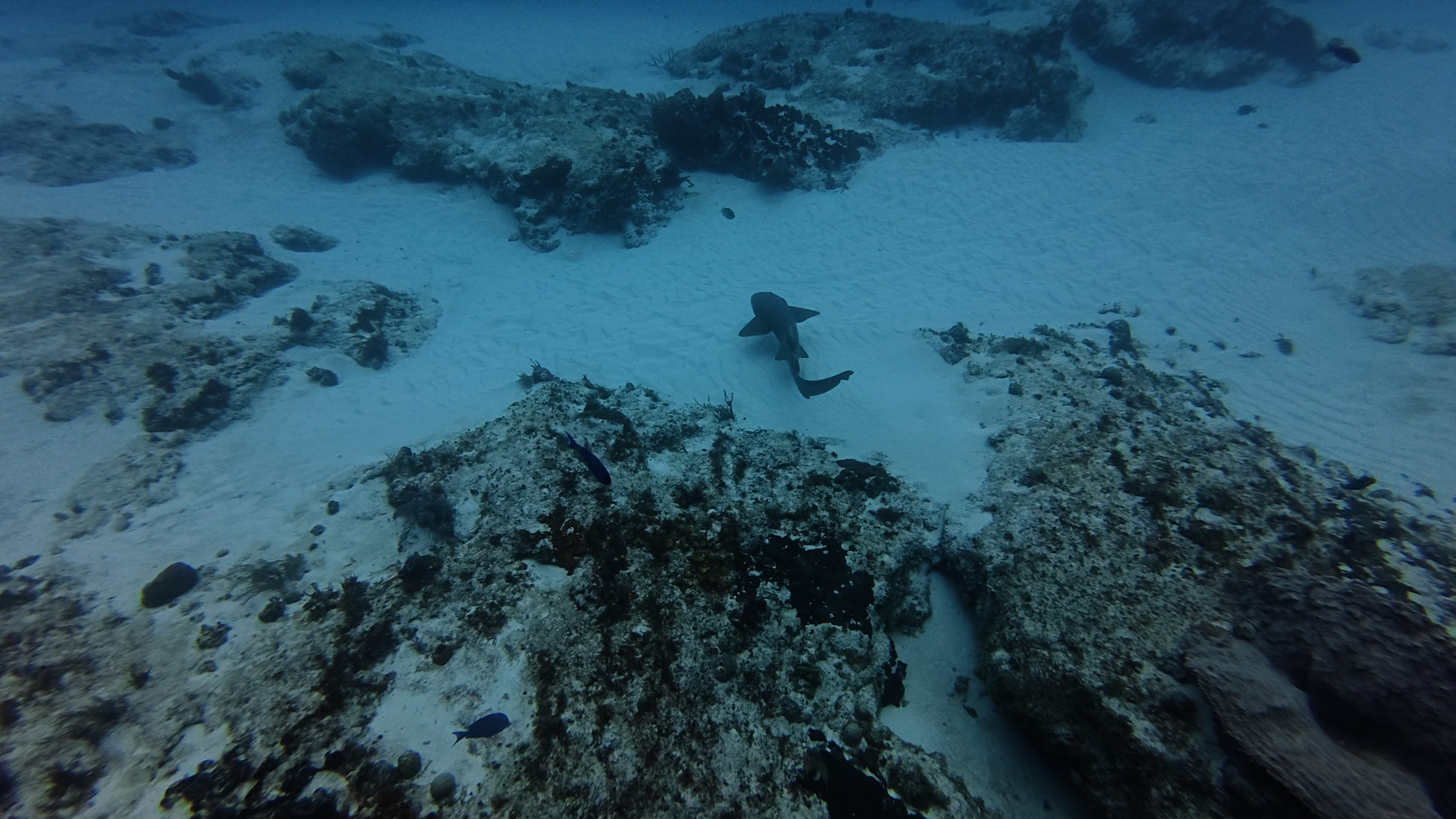 6 - 1758652478561.mp4