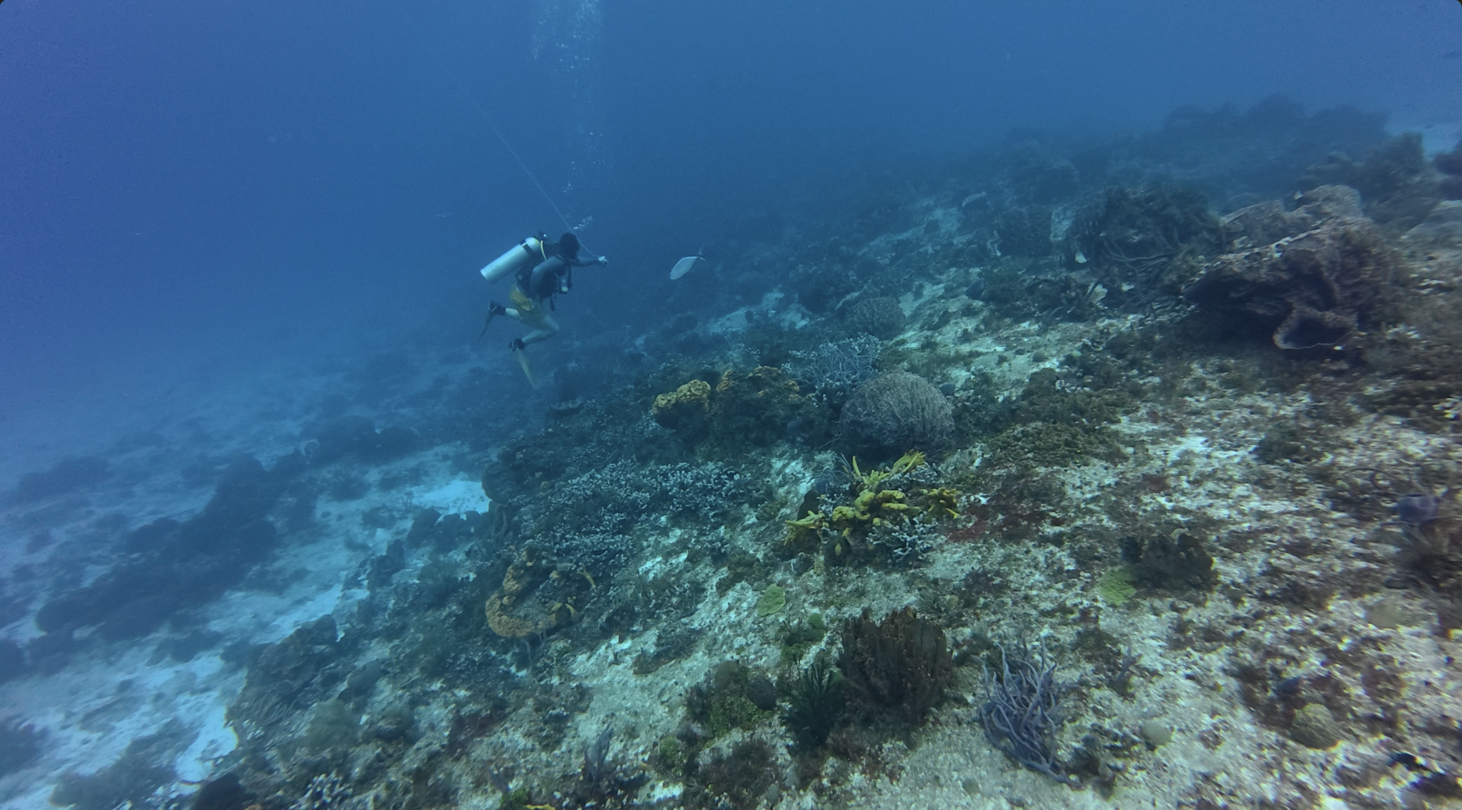 dji_mimo_20250922_141800_20250922141801_1758584088116_video.mp4